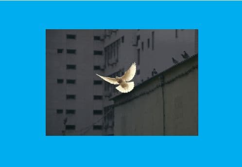A Time for Peace in Europe and Asia
- - Dave Lindorff