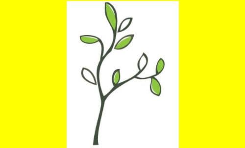  Hindus want all Vermont schools close on Diwali