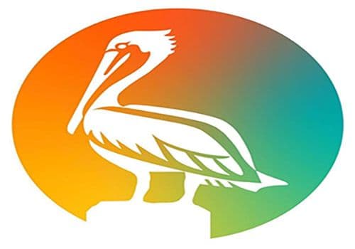 Hindu mantras to start the day of St. Petersburg City Council in Florida