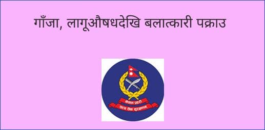 गाँजा, लागूऔषधदेखि बलात्कारी पक्राउ