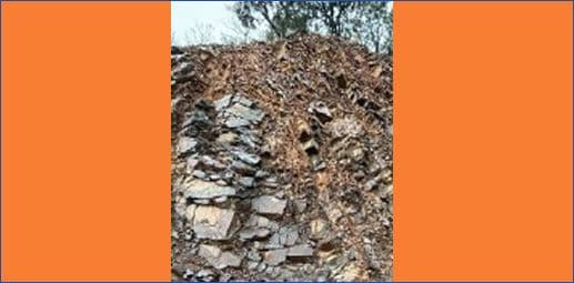 फलामै खानी चल्नेभो