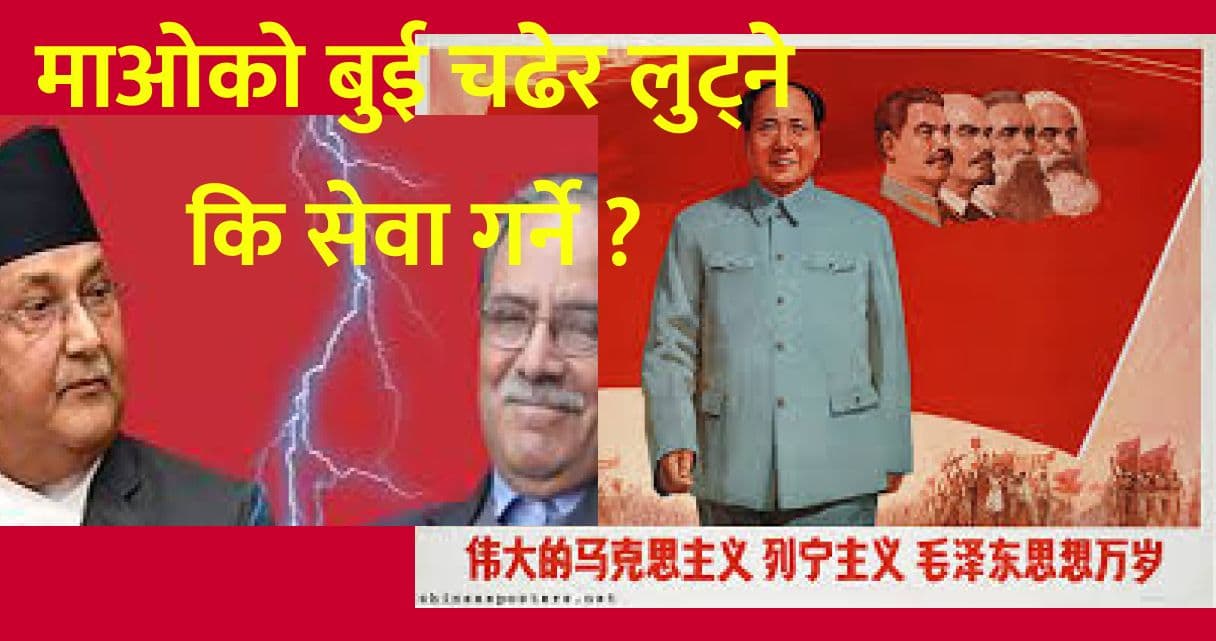 माओको बुई चढेर लुट्ने कि सेवा गर्ने ?