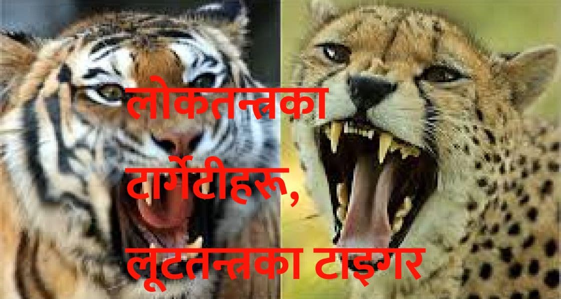 लोकतन्त्रका टार्गेटीहरू, 
लूटतन्त्रका टाइगर बने