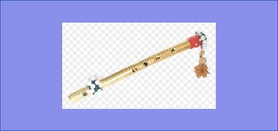 गीतकार आइटी इन्जिनियर रिमा श्रेष्ठका गीतहरू