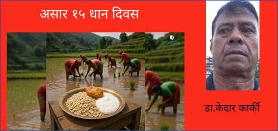 असार १५ धान दिवस