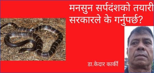 मनसुन सर्पदंशको तयारी सरकारले के गर्नुपर्छ?