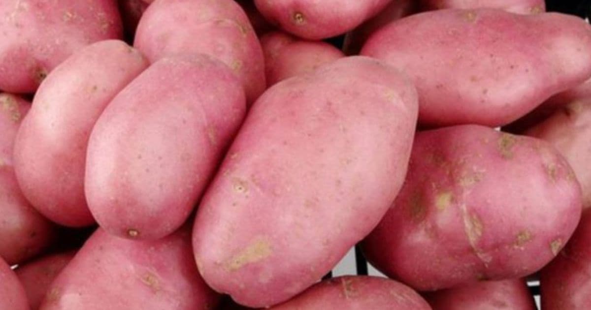 रातो आलु प्रतिकिलो ३२ रुपैयाँ अन्य तरकारिकाे मूल्य कति ?