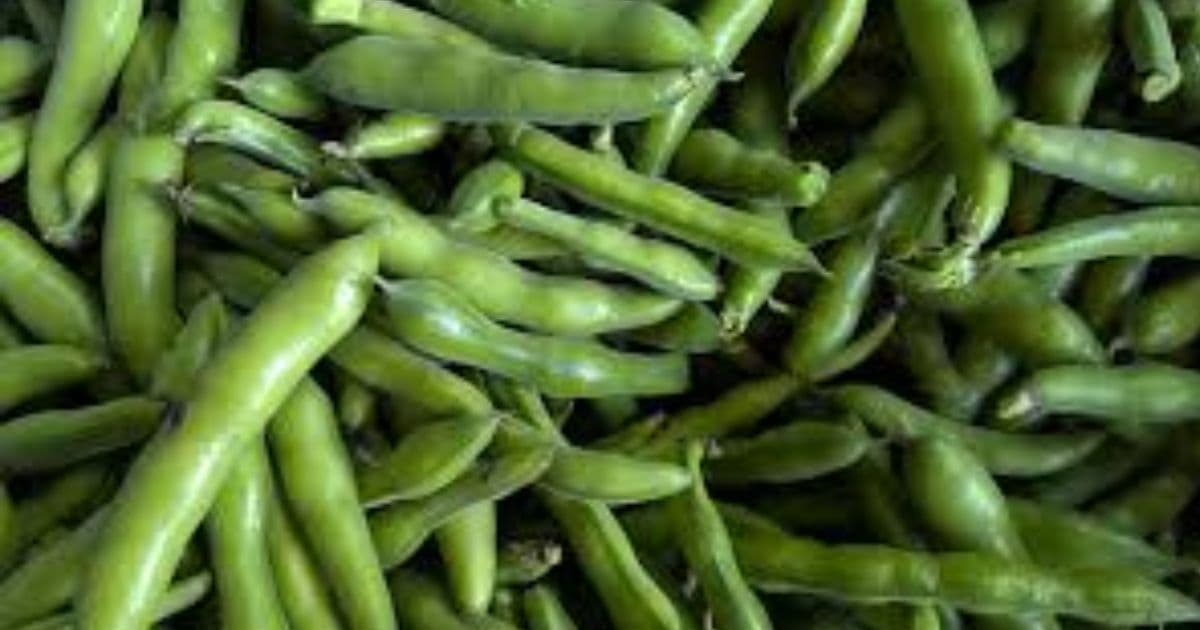 बकुला किलोकाे १५० अन्य तरकारीकाे मूल्य कति