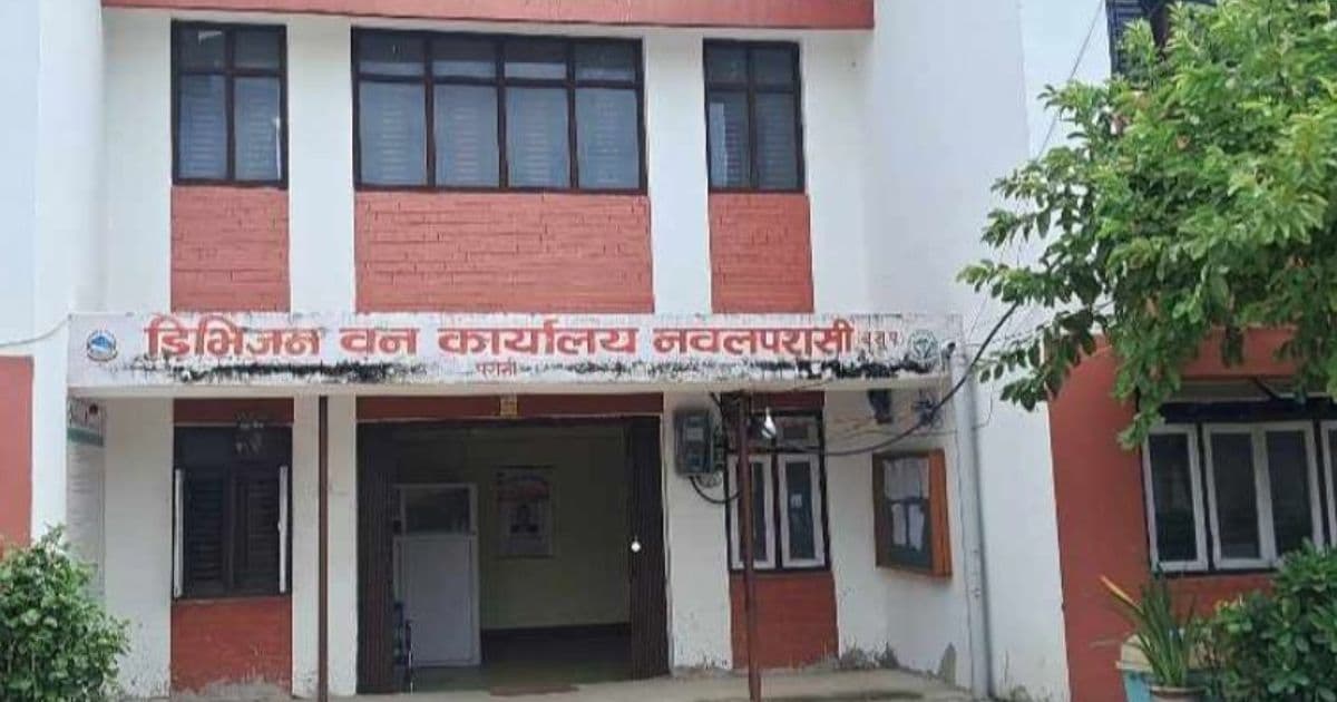 वन कार्यालयले १ लाख जनलाई रोजगारी दियाे