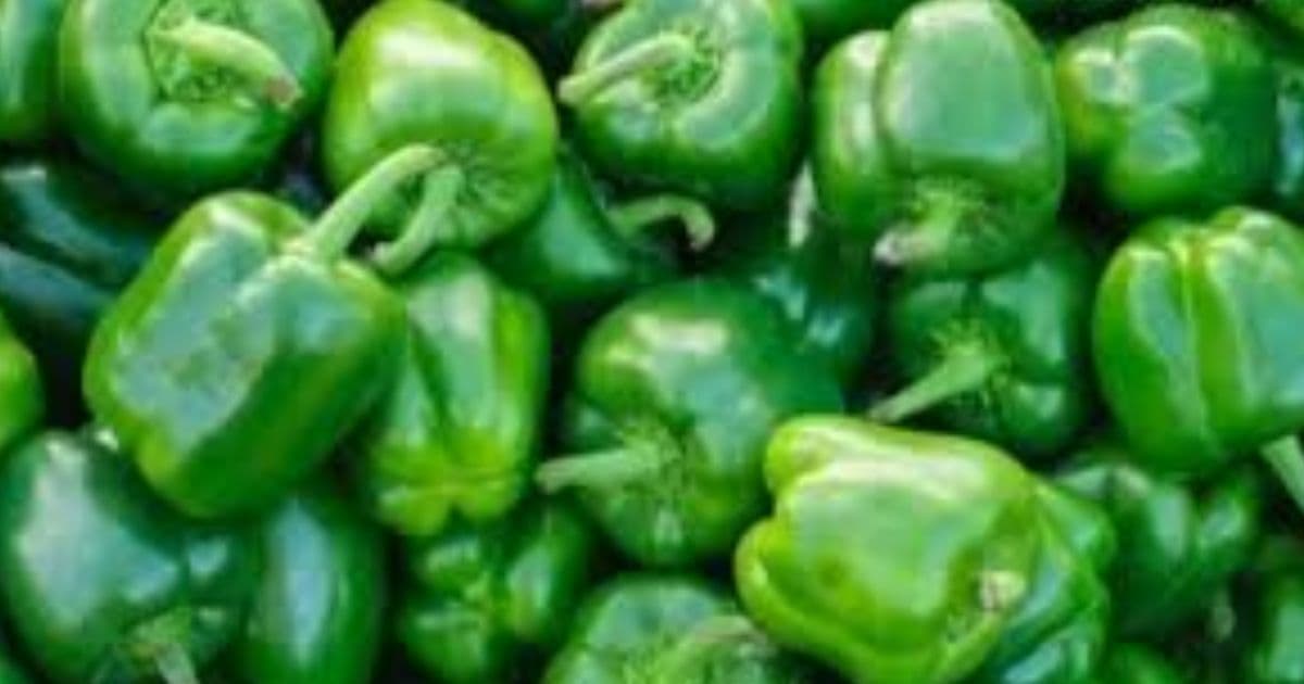 भेडे खुर्सानी ८० रुपैयाँ हुँदा अन्य फलफूल तथा तरकारीकाे मूल्य कति ?