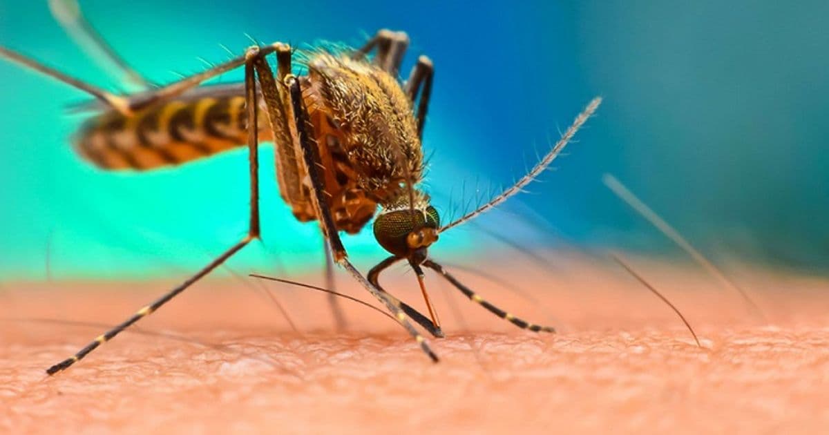 डेङ्गु नियन्त्रणका लागि सरसफाइ अभियान