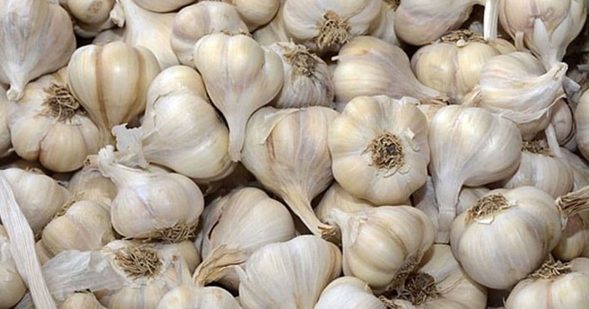 सात महिनामा ६ अर्ब बढीको लसुन आयात
