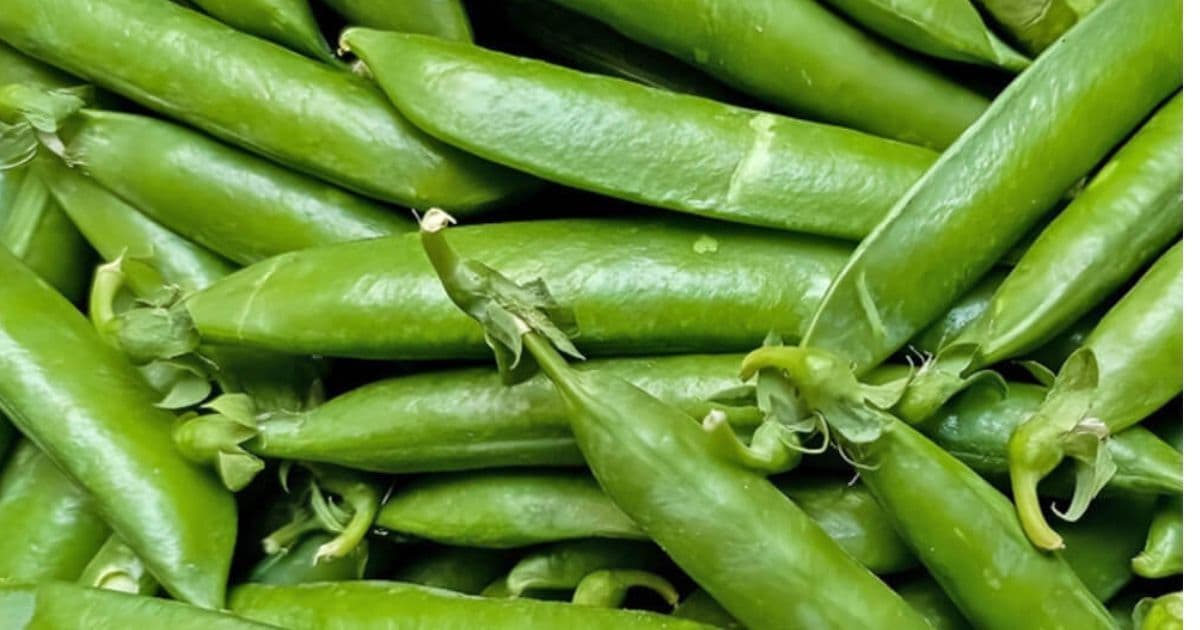 मटरकोसा प्रतिकिलो ६० रुपैयाँ अन्य तरकारीकाे मूल्य कति ?