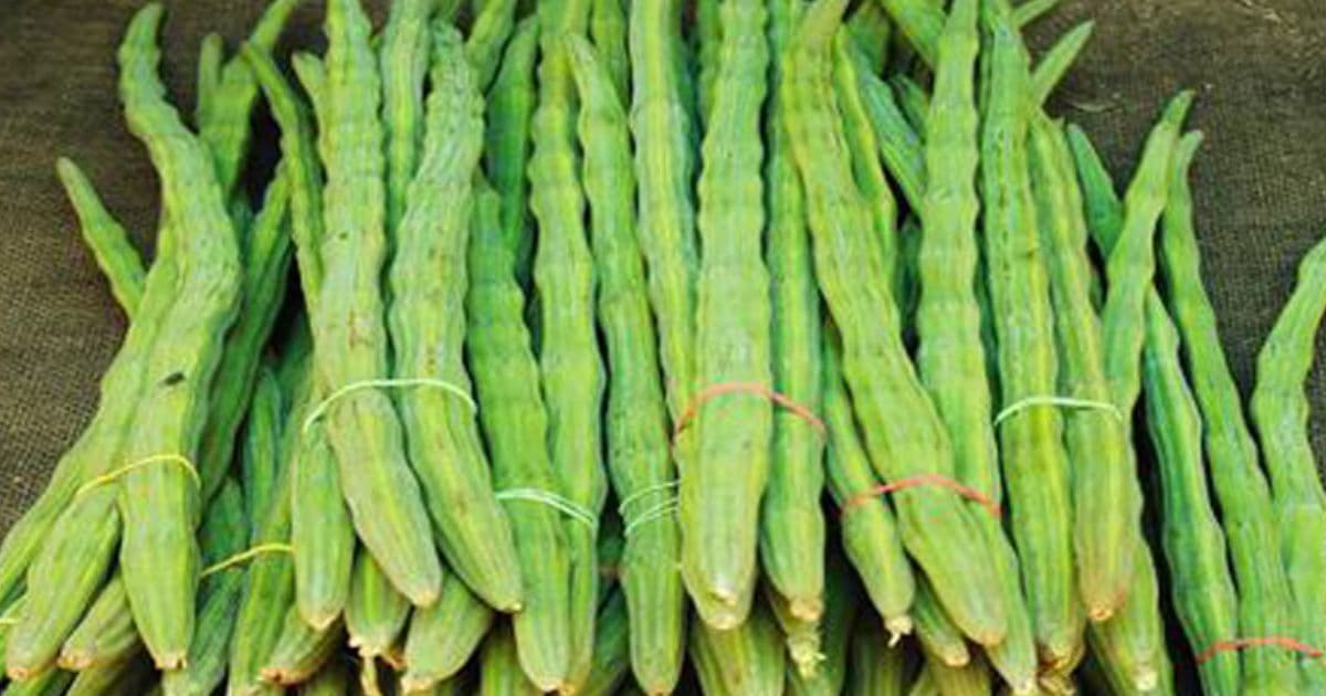 सजीवन प्रतिकेजी ४२० अन्य तरकारीकाे मूल्य कति ?