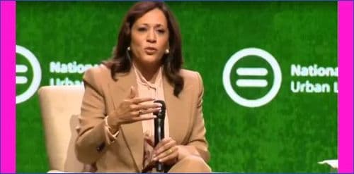 Kamala Harris Tells Democrats Their Midterm Vote Must Be ‘Too Big To Rig’