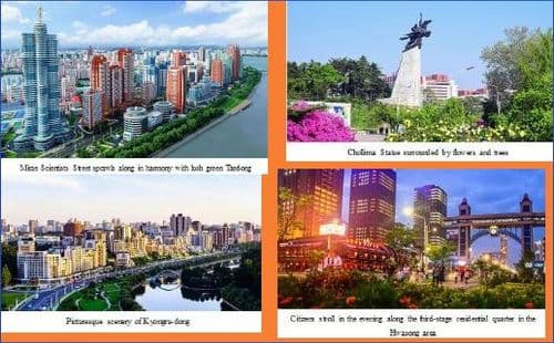 Verdant Pyongyang