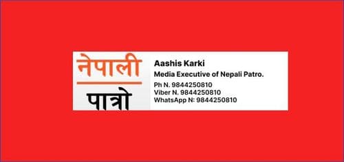 नेपा: एप सार्वजनिक, नेपाली डिजिटल प्लेटफर्म