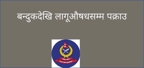 बन्दुकदेखि लागूऔषधसम्म पक्राउ