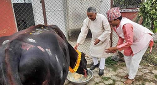 संस्कृत पाठशालामा सिकेको शिक्षा