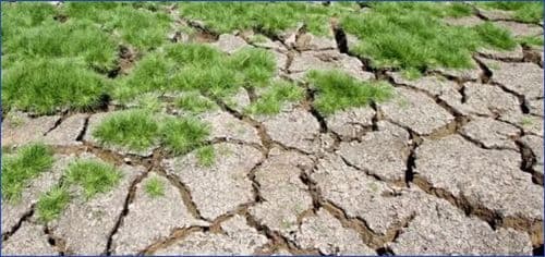 Earth’s Climate More Imbalanced Than Ever, Says WMO