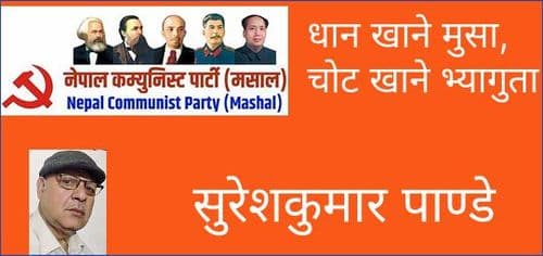 धान खाने मुसा, चोट खाने भ्यागुता – सुरेशकुमार पाण्डे 