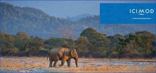 Where Communities Lead, Nature Recovers: International Biological Diversity Day 2026