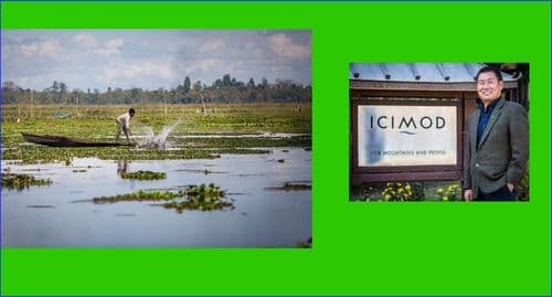 Wetlands: Nature’s Lifelines at Risk