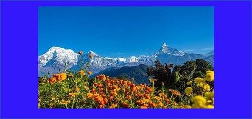 चलचित्र पत्रकार संघ नेपालद्वारा राष्ट्रिय फिचर लेखन प्रतियोगिता घोषणा