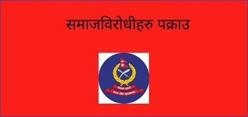 समाजविरोधीहरु पक्राउ