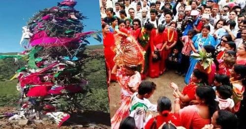 सुदूरपश्चिममा ‘वल्के’ पर्व मनाइँदै, प्रदेशभर सार्वजनिक बिदा