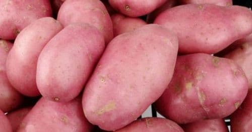 रातो आलु प्रतिकिलो ३२ रुपैयाँ अन्य तरकारिकाे मूल्य कति ?