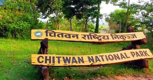 एक वर्षमा निकुञ्जसम्बन्धी कसुरमा ४ सय ४२ जना पक्राउ