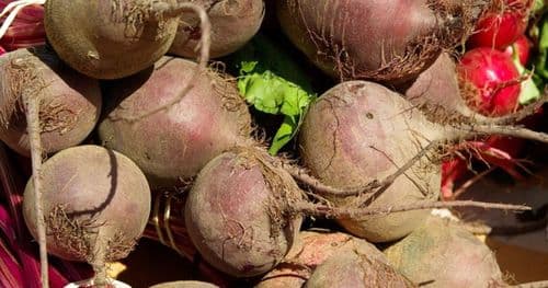 चुकुन्दर प्रतिकिलो ६५ रुपैयाँ अन्य फलफूल तथा तरकारीकाे मूल्य कति ?