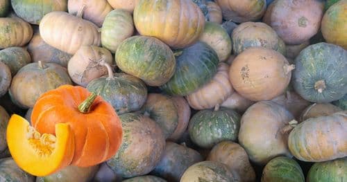 पाकेको फर्सी प्रतिकिलो ५० अन्य तरकारीकाे मूल्य कति ?