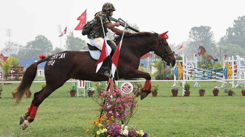 आज घोडेजात्रा पर्व मनाइँदै