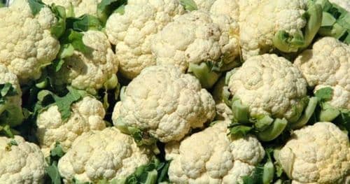 काउली स्थानीय प्रतिकिलो २५ रुपैयाँ अन्त फलफूल तथा तरकारीकाे मूल्य कति ?