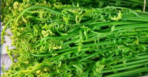 निगुरो प्रतिकिलो ८० अन्य तरकारीकाे मूल्य कति ?