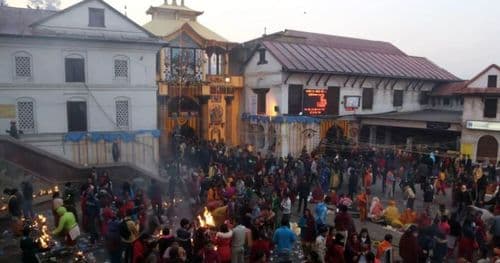 पशुपतिमा बिहानैदेखि शतबीज छर्नेको घुइँचो