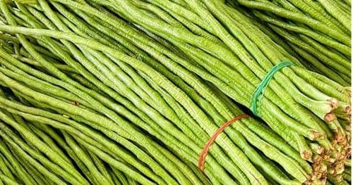 तने बोडीमा अत्याधिक विषादी भेटियो 