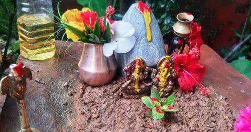 आज हरिशयनी एकादशी तुलसीको बिरुवा सारिदै
