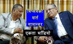 माधव बिच्किए, विप्लव र प्रचण्ड टाढिए