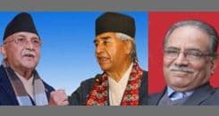 सूर्यमुखीहरू सत्ताबाहेक अरू केही देख्दैनन्