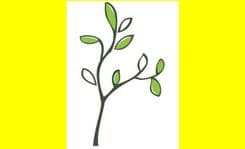  Hindus want all Vermont schools close on Diwali