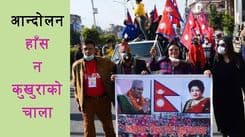हाँस न कुखुराको चाला