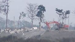 गौर डुबानको जोखिम बढ्ने चिन्ता