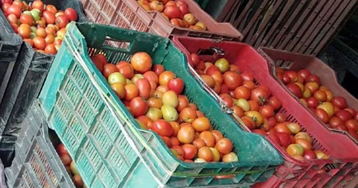 गाेलभेडा २८ देखि ७० रुपैयाँसम्म अन्त तरकारी तथा फलफूलकाे मूल्य कति ?