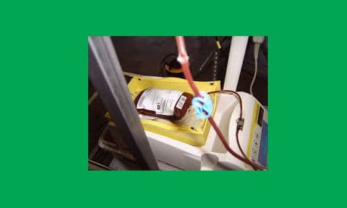 अन्तराष्ट्रिय रक्तदाता दिवसका अवसरमा जयवागेश्वरीमा रक्तदान कार्यक्रम