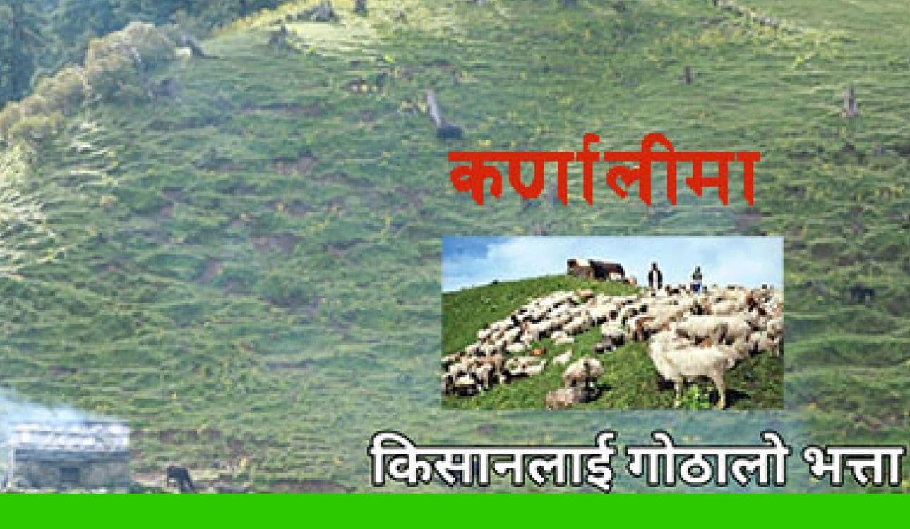 कर्णालीमा भेडा गोठालालाई भत्ता