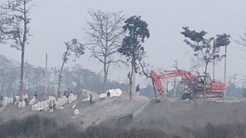 गौर डुबानको जोखिम बढ्ने चिन्ता