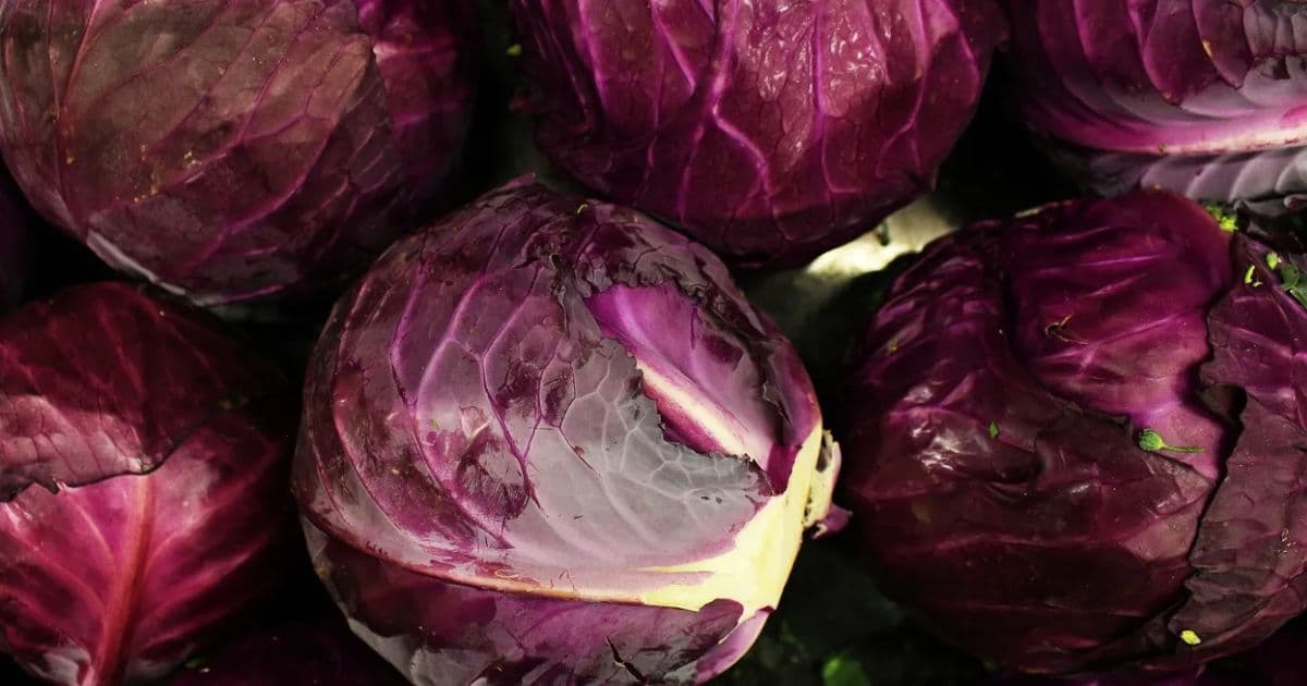 रातो बन्दाकाे मूल्य १८० अन्य तरकारीकाे मूल्य कति ?